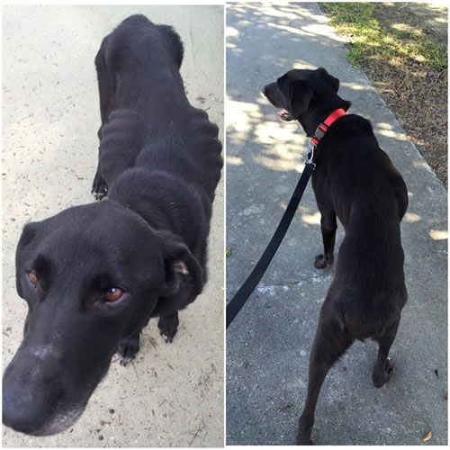 Waylan-before-and-after Waylan-before-and-after